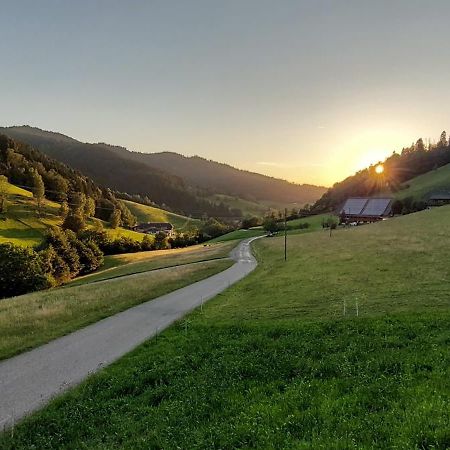 Irgendwo Im Schwarzwald Apartman Elzach Kültér fotó