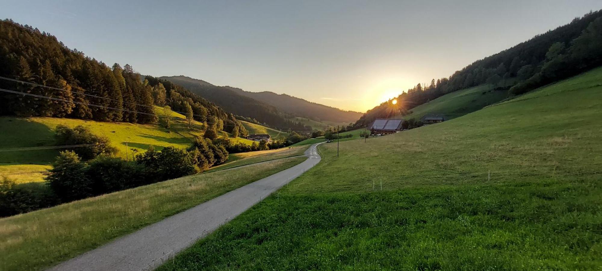Irgendwo Im Schwarzwald Apartman Elzach Kültér fotó