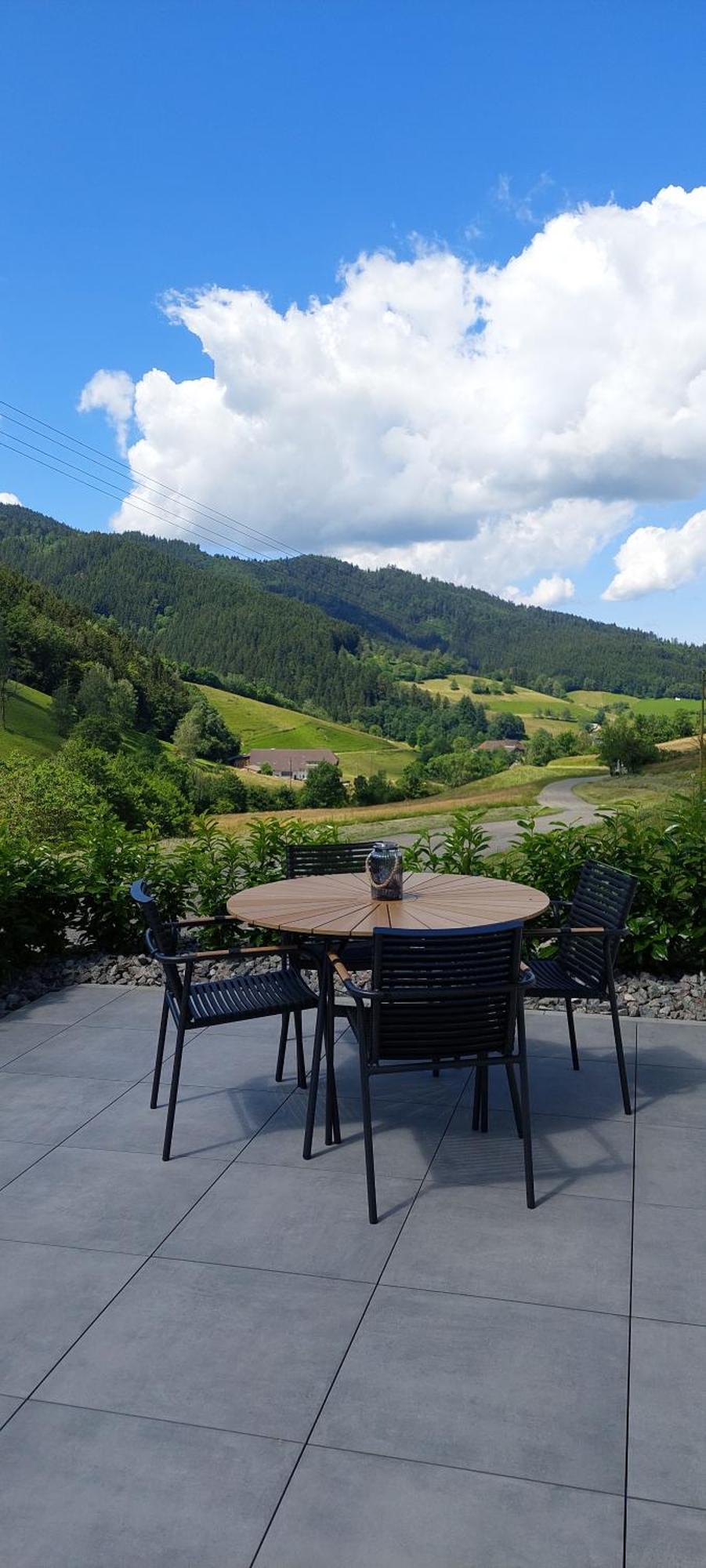 Irgendwo Im Schwarzwald Apartman Elzach Kültér fotó
